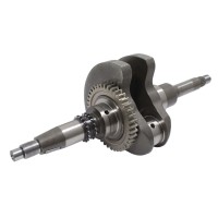 Колінвал для QJ Motor SFA 300 - 179016850000 Колінвал для QJ Motor SFA 300 - 179016850000