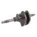 Колінвал для квадроциклів QJ Motor SFA 300 - 179017180000