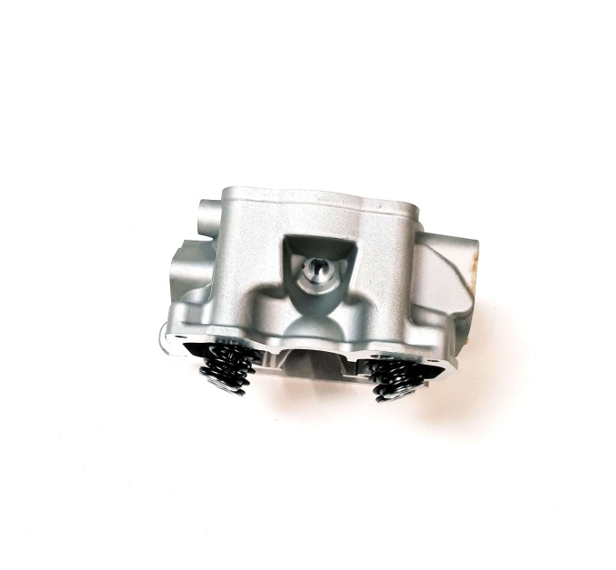 Головка блоку циліндра (ГБЦ) для квадроциклів Access Motor MAX 5 400 EFI - 12200-E19-100