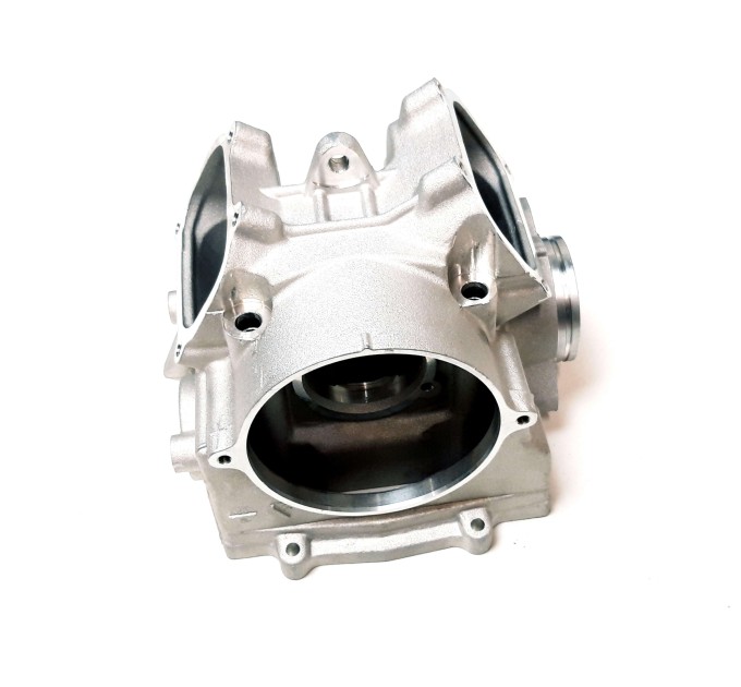 Головка блоку циліндра (ГБЦ) для квадроциклів Access Motor 650 850 - 12201-E23-000