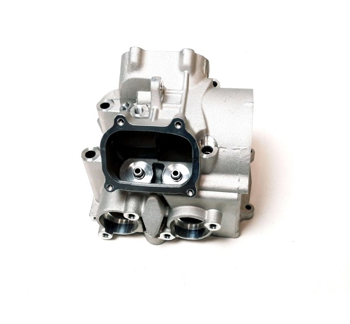 Головка блоку циліндра (ГБЦ) для квадроциклів Access Motor 650 850 - 12201-E23-000
