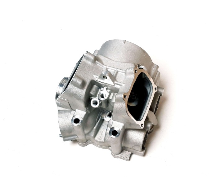 Головка блоку циліндра (ГБЦ) для квадроциклів Access Motor 650 850 - 12201-E23-000