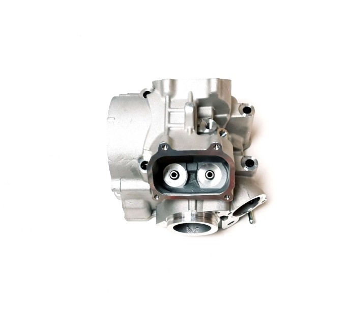 Головка блоку циліндра (ГБЦ) для квадроциклів Access Motor 650 850 - 12201-E23-000